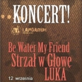 Be Water My Friend, Strzał w Głowę oraz Luka