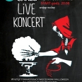 Koncert Saint Grass
