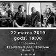 Koncert zespołu Mellow Driver