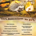 100% Sandomierza za 50% 5-7.11.2018
